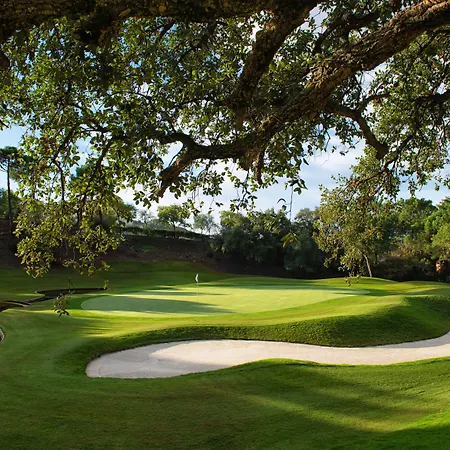 Club - Golf & 5*