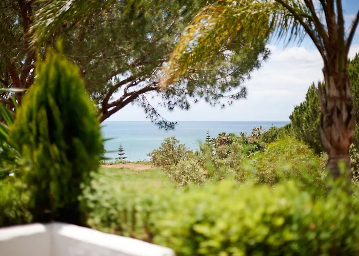 クラブ · ゴルフ リゾート＆スパ マルベーリャ